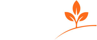 Grupo Siena